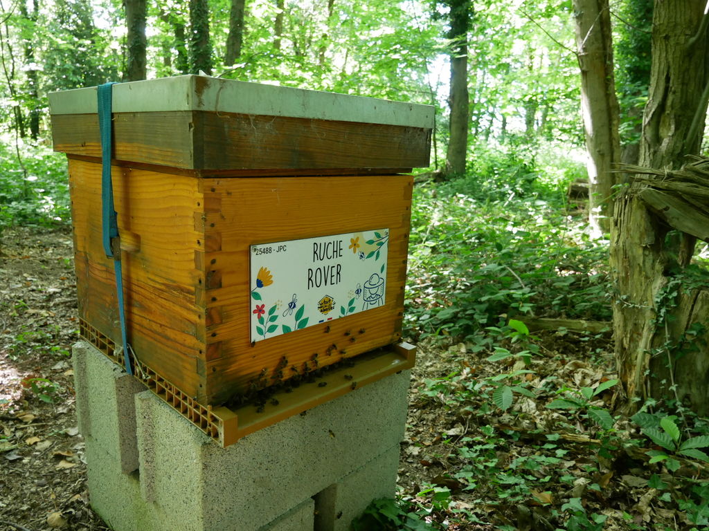 La ruche Rover 