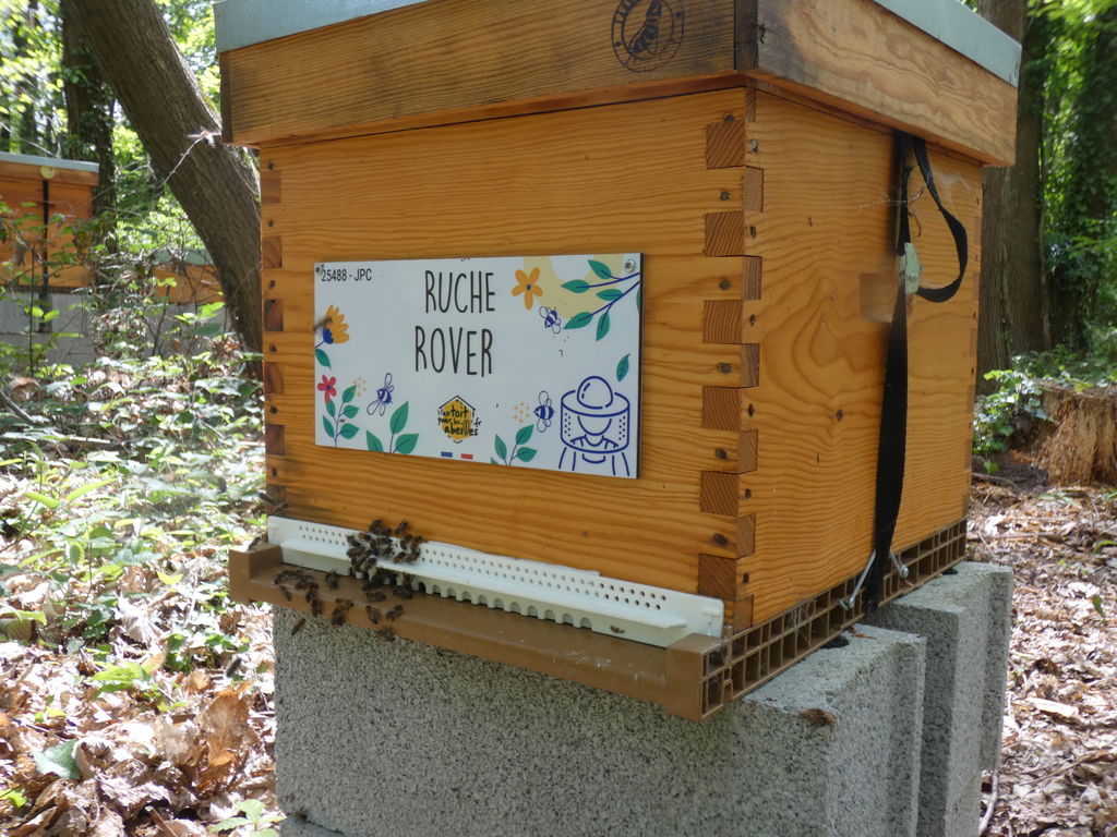 La ruche Rover 