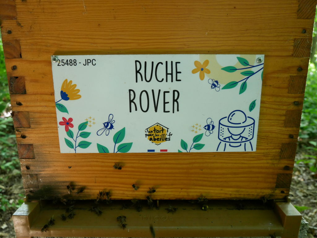 La ruche Rover 