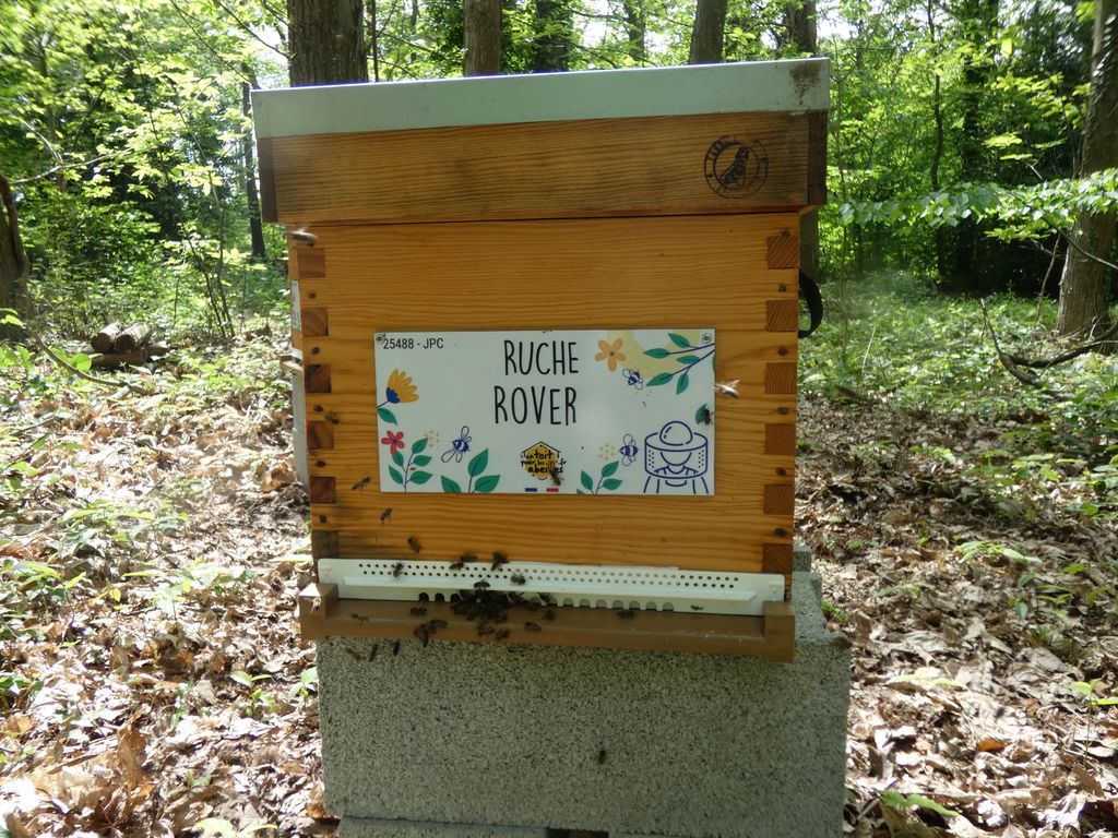 La ruche Rover 