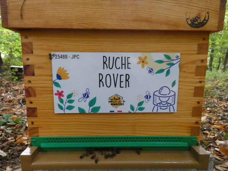 La ruche Rover 