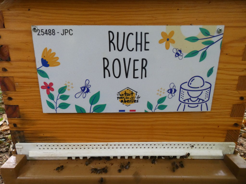 La ruche Rover 