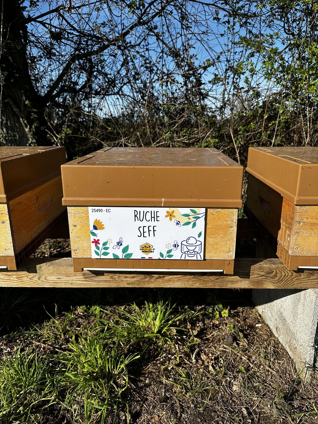 La ruche Seff