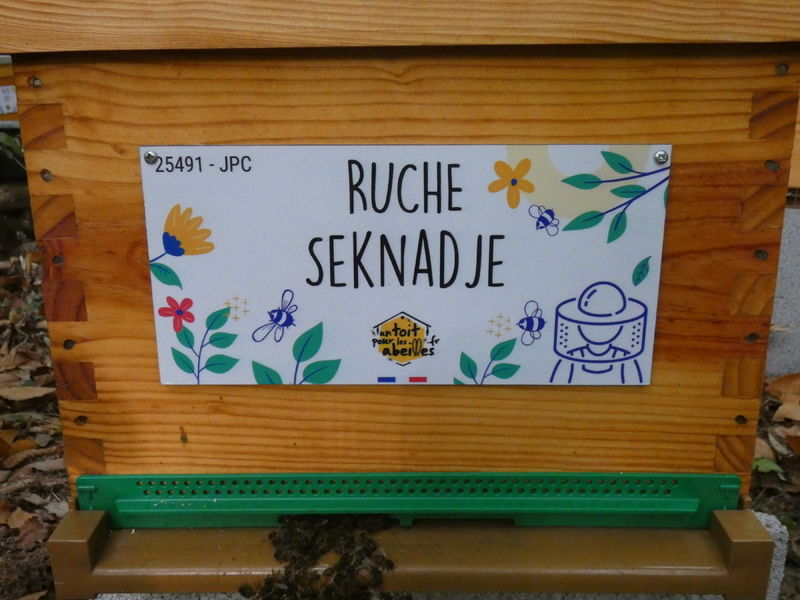 La ruche