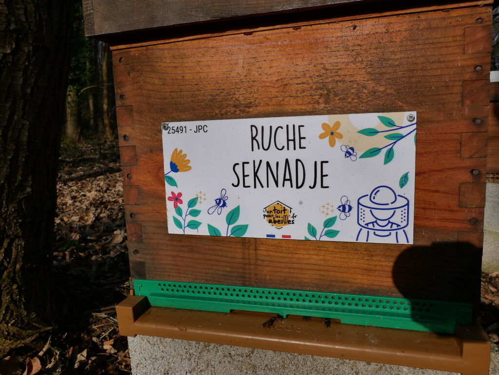 La ruche Seknadje