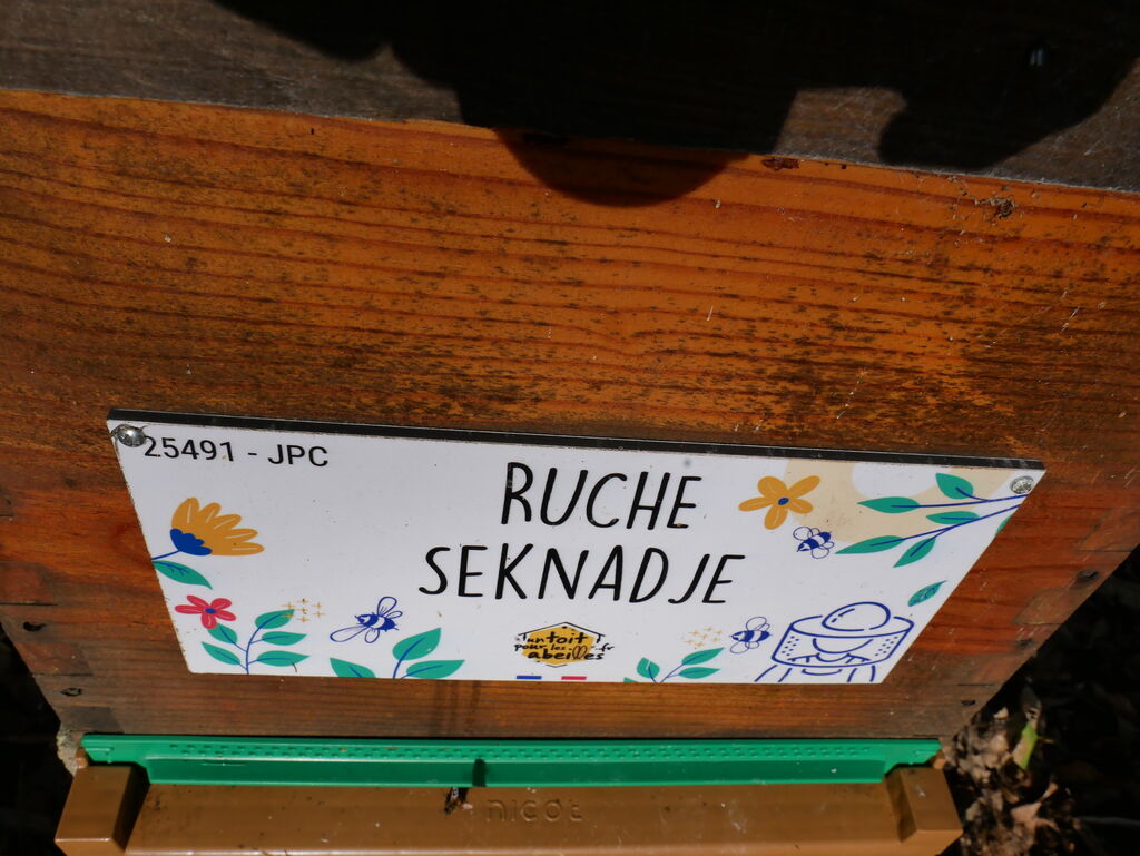 La ruche Seknadje