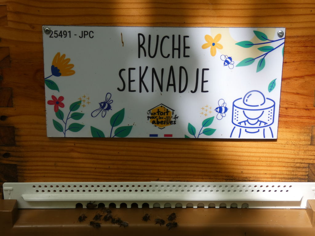 La ruche Seknadje