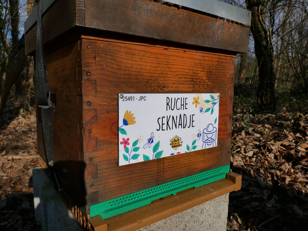 La ruche Seknadje