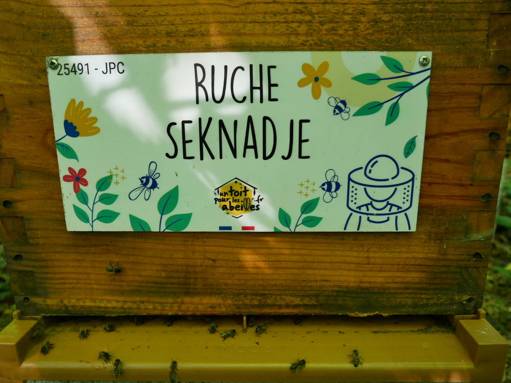 La ruche Seknadje