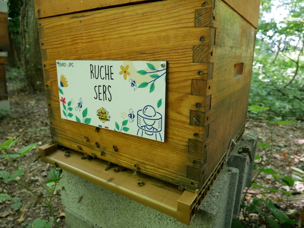La ruche Sers