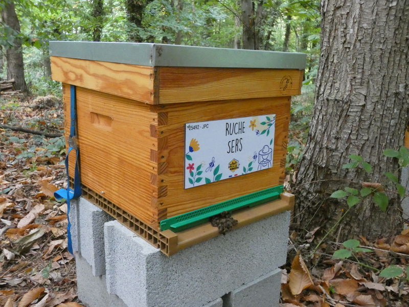 La ruche Sers