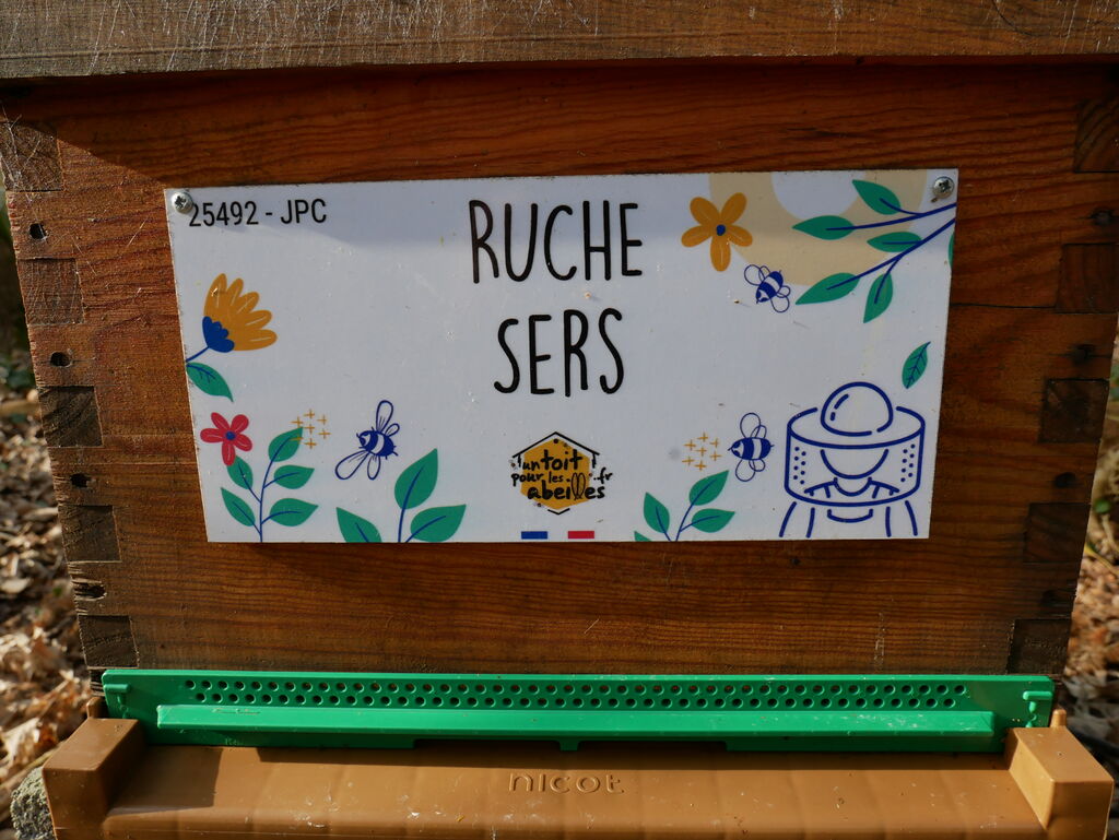 La ruche Sers