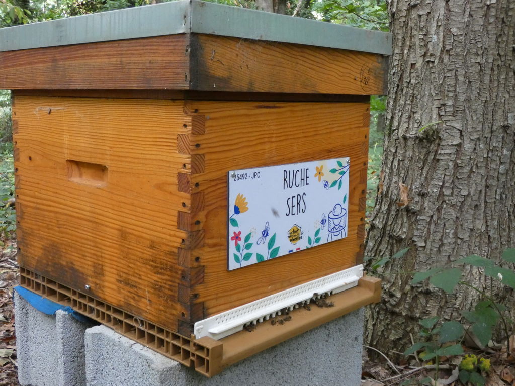 La ruche Sers