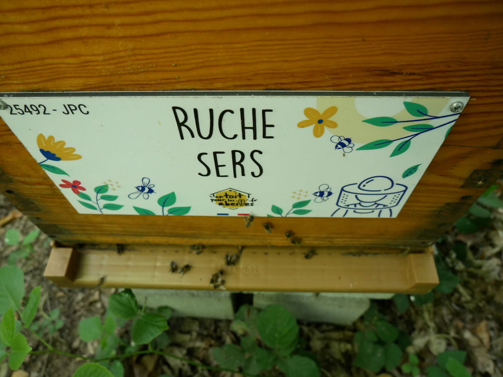 La ruche Sers