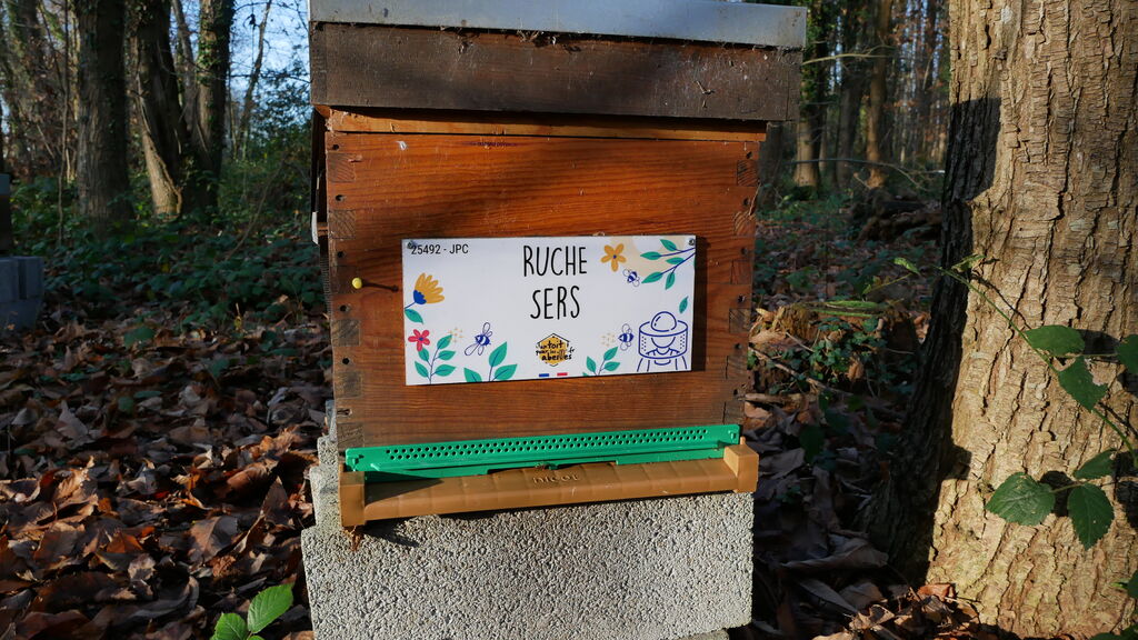 La ruche Sers
