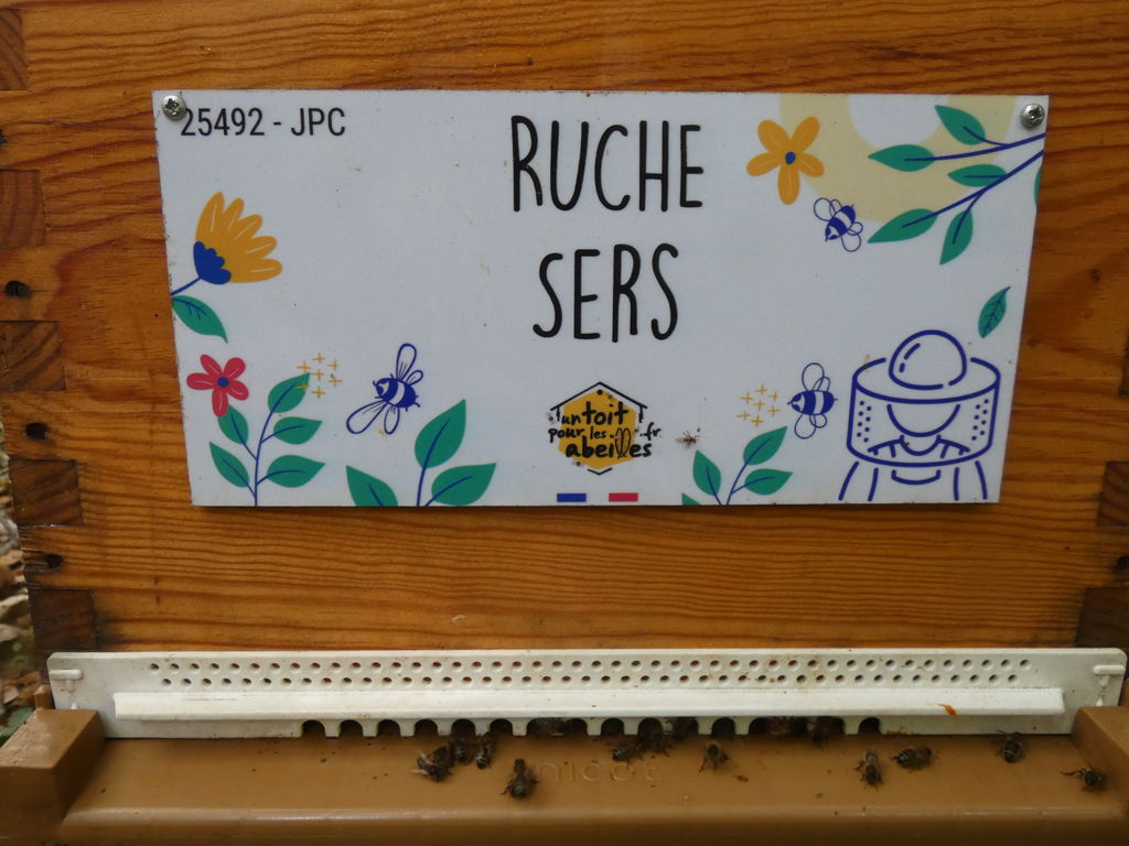La ruche Sers