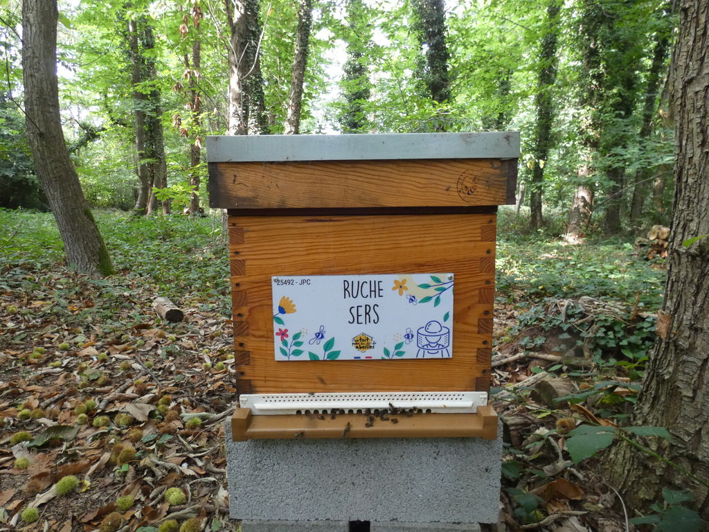 La ruche Sers
