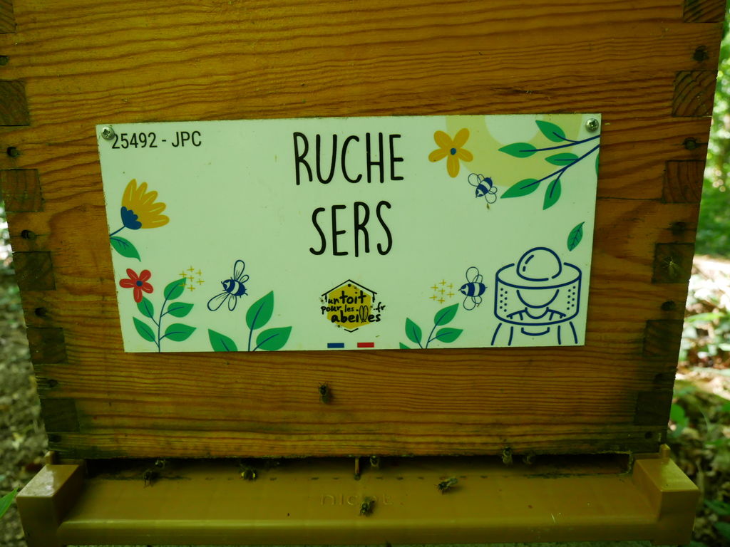 La ruche Sers