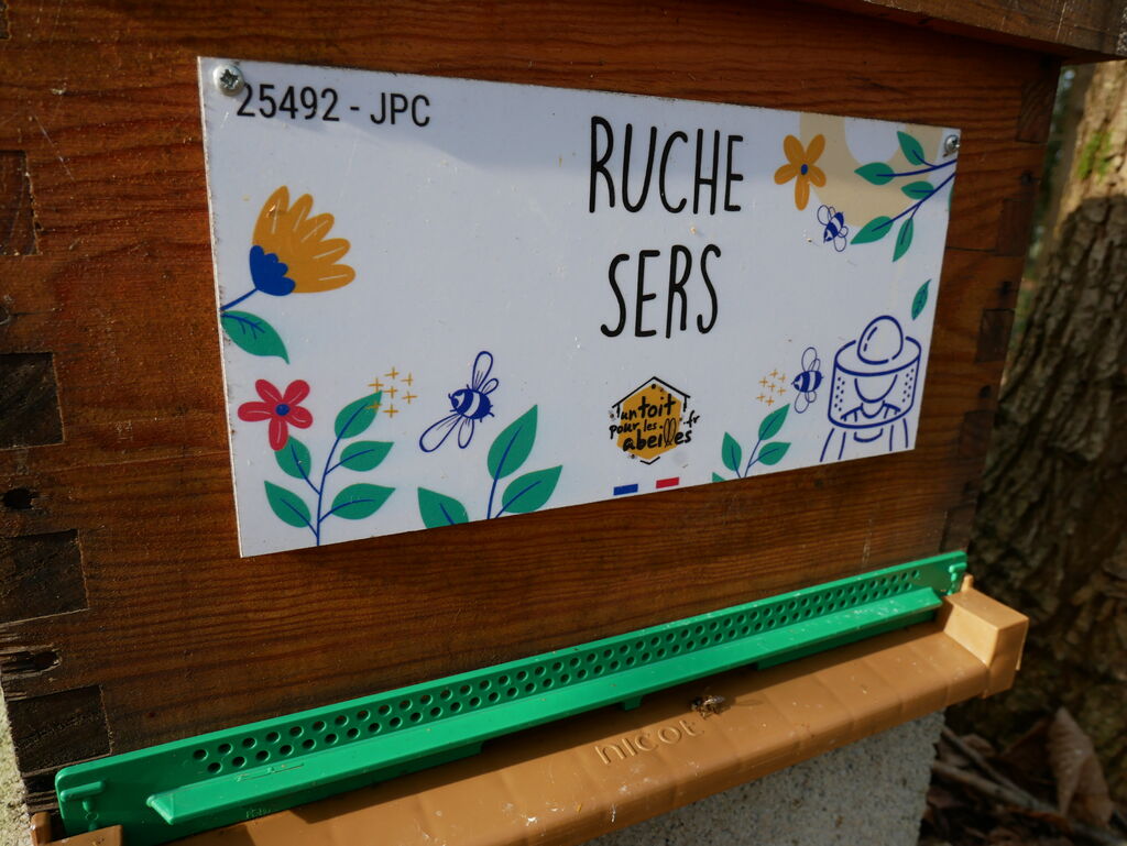 La ruche Sers