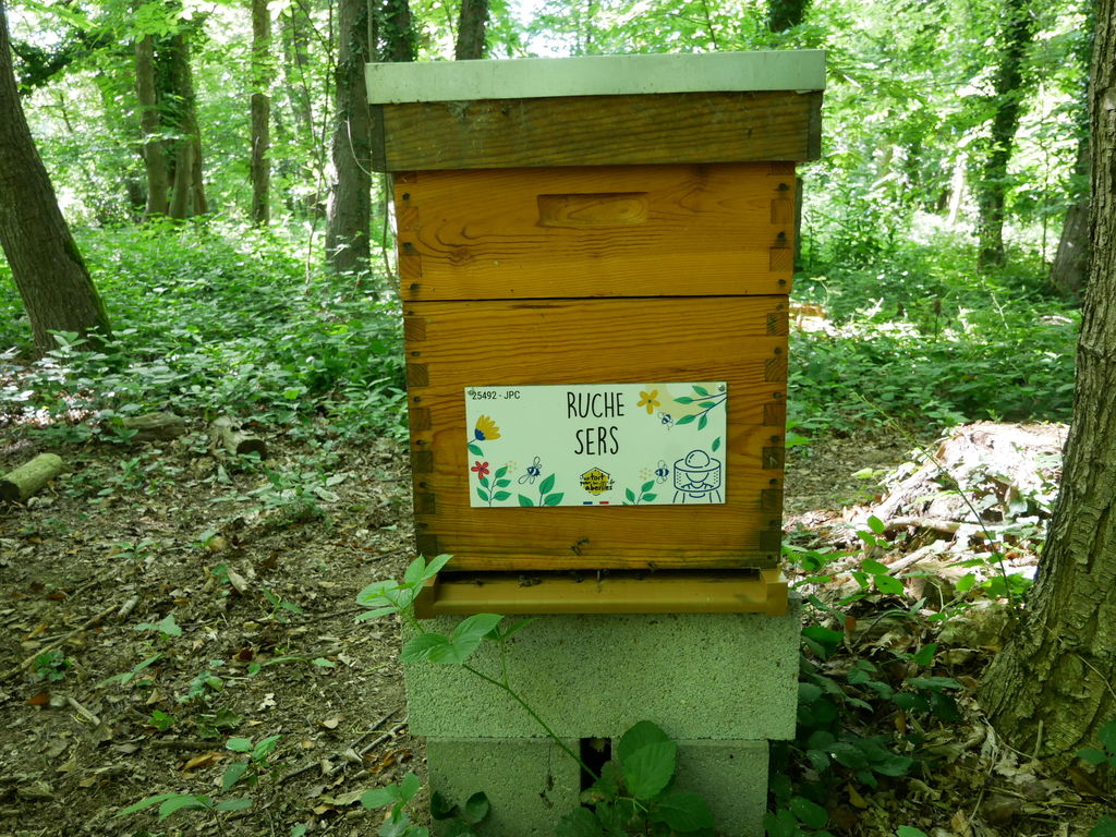 La ruche Sers