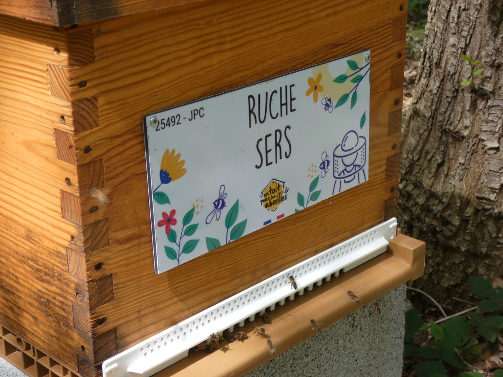 La ruche Sers
