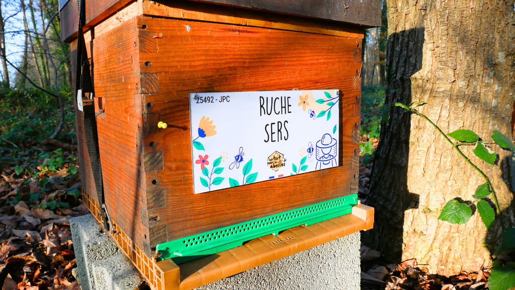 La ruche Sers