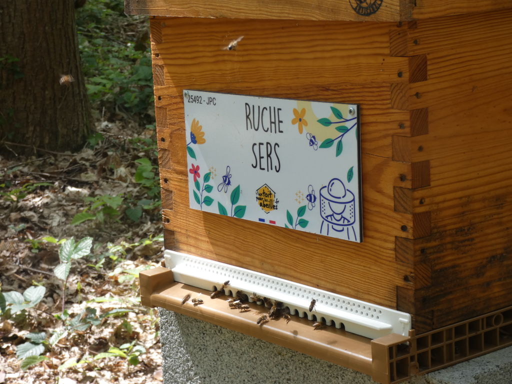La ruche Sers