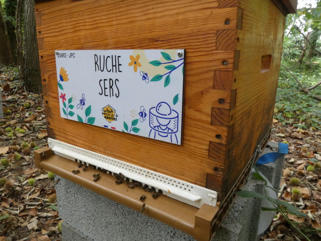 La ruche Sers