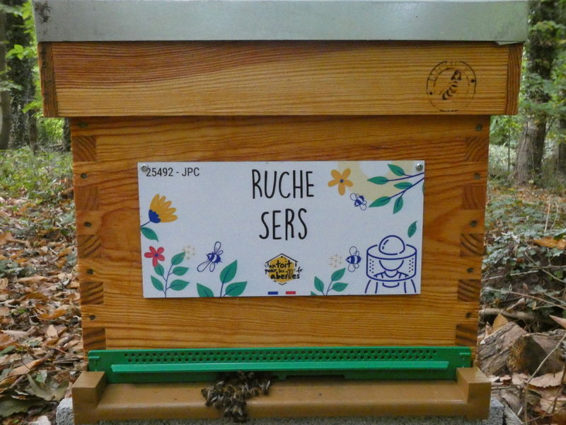 La ruche Sers