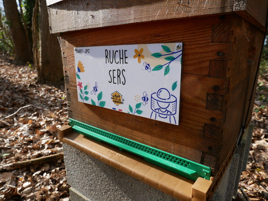 La ruche Sers