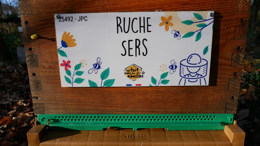 La ruche Sers