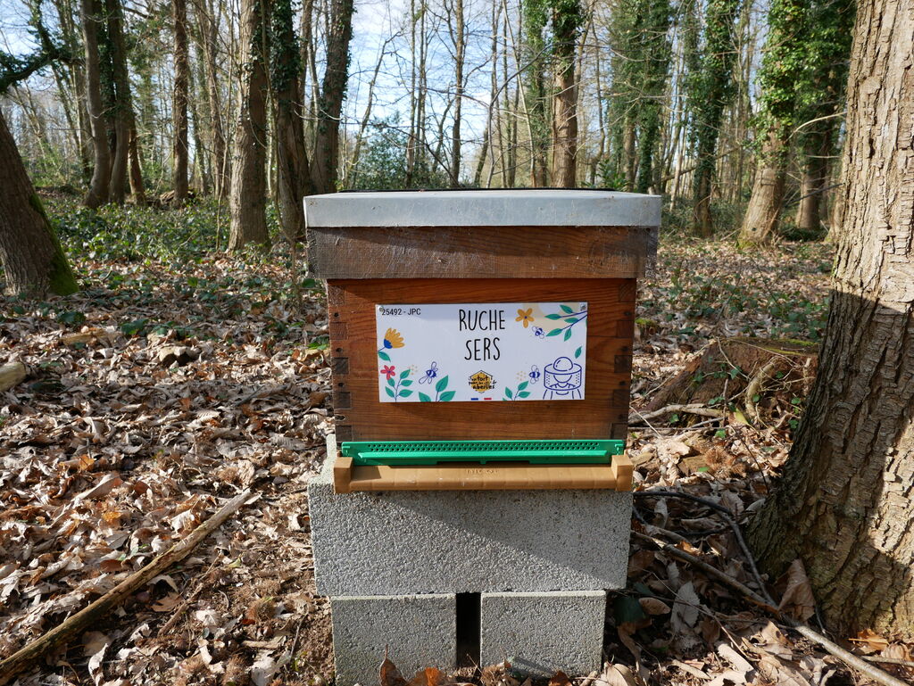 La ruche Sers