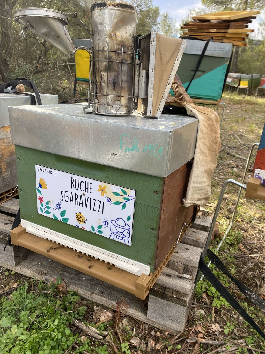 La ruche Sgaravizzi