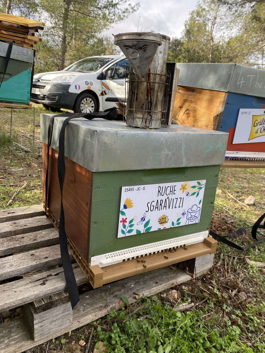 La ruche Sgaravizzi