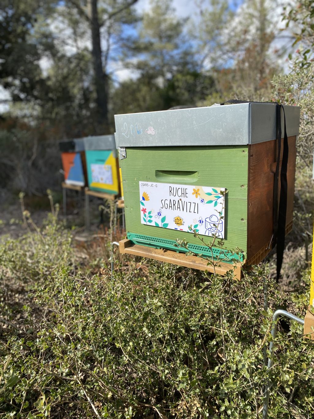 La ruche Sgaravizzi