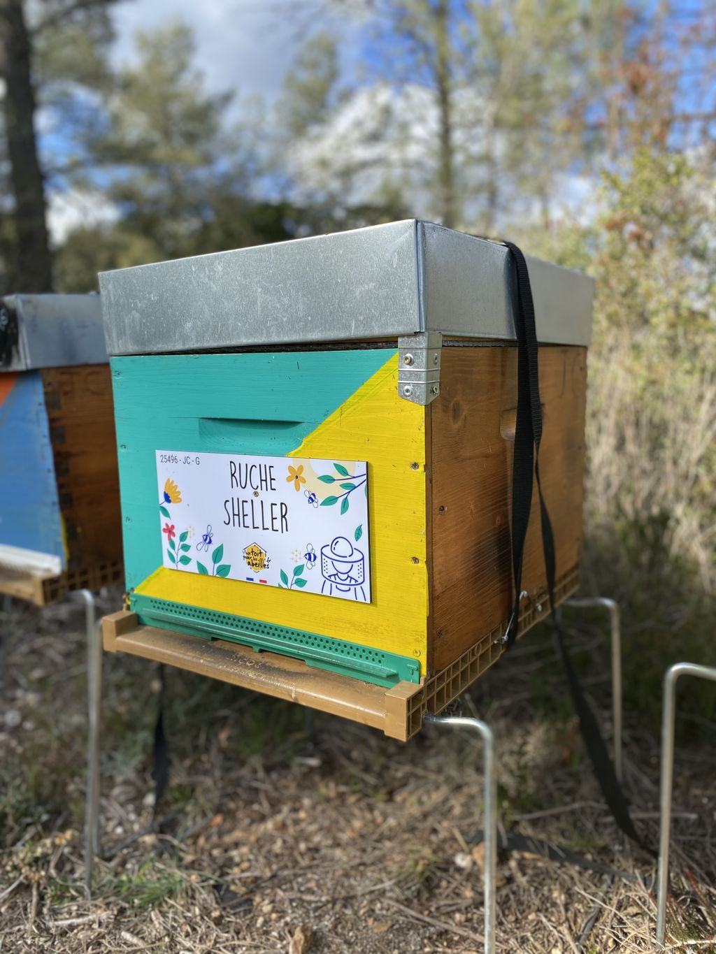 La ruche Sheller
