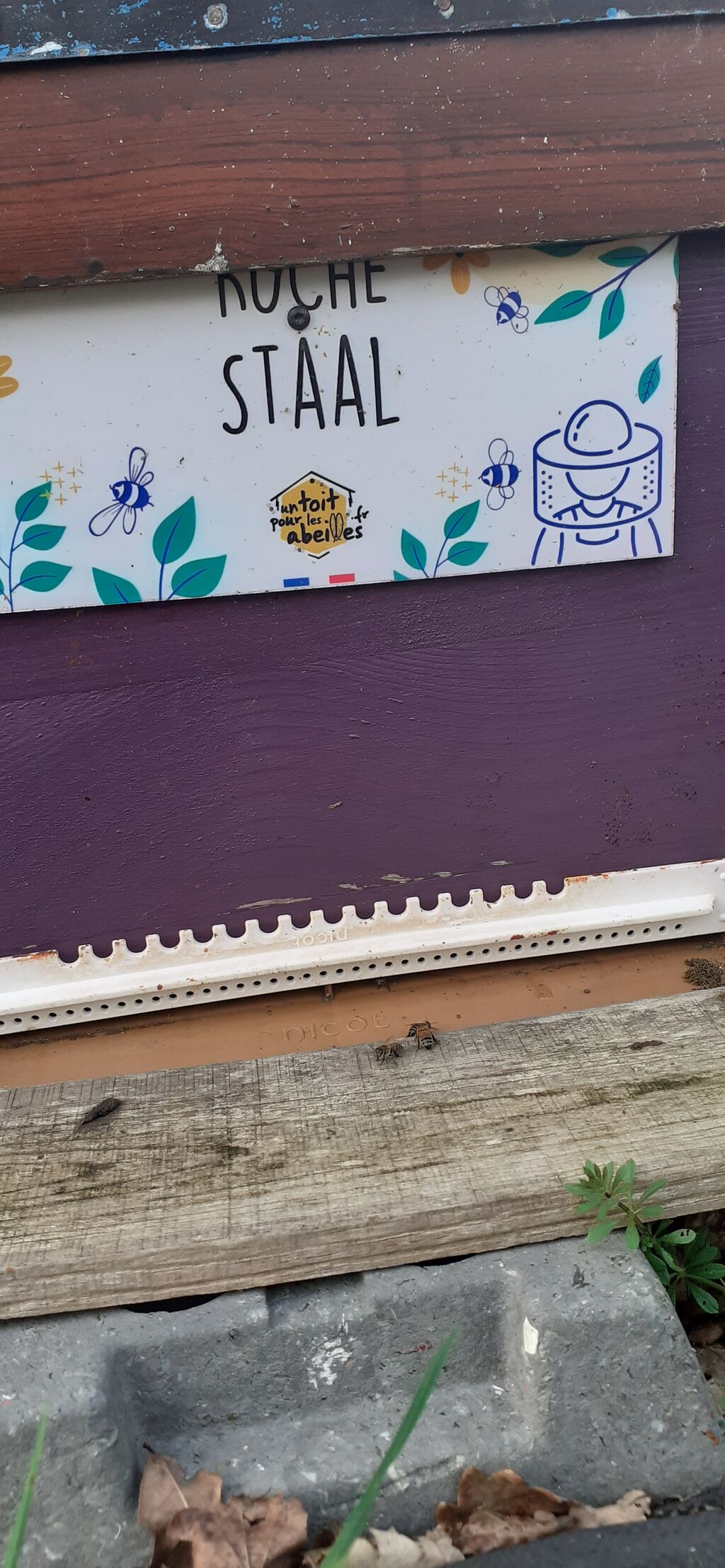 La ruche Staal