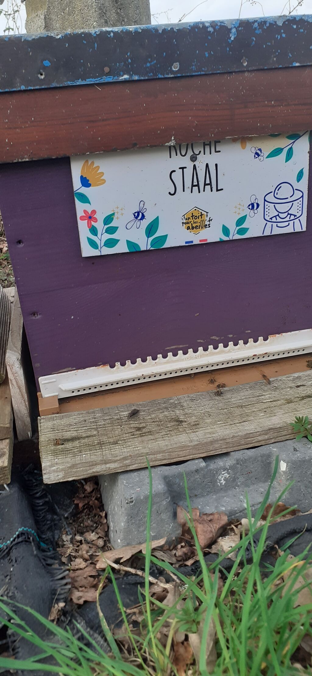 La ruche Staal