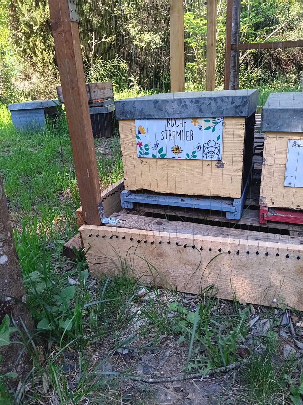 La ruche Stremler