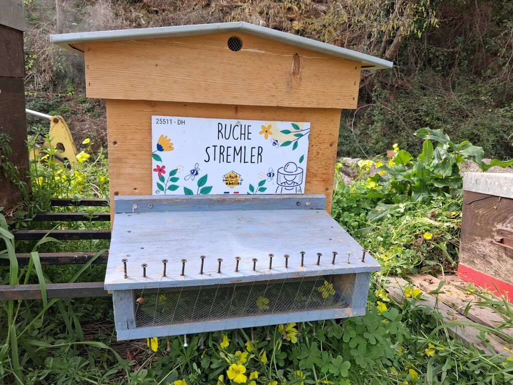 La ruche Stremler