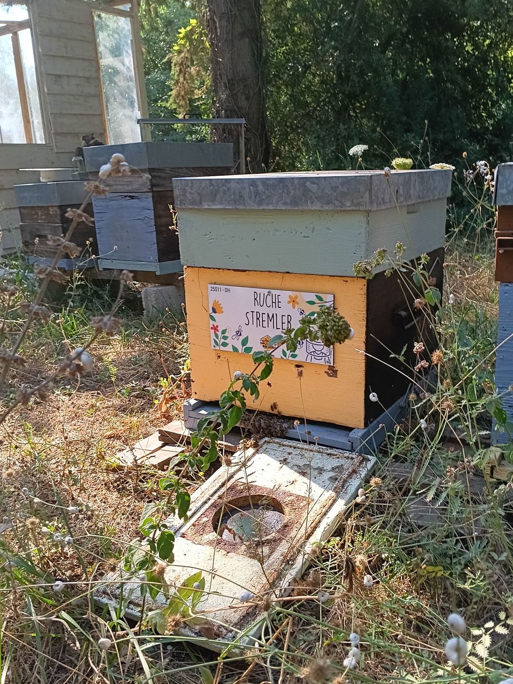 La ruche Stremler