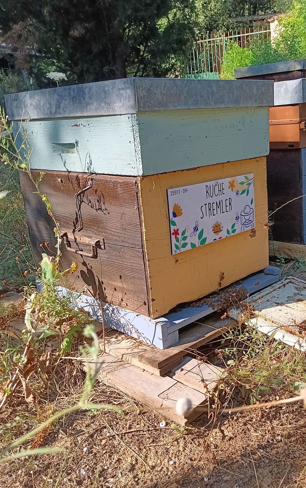 La ruche Stremler