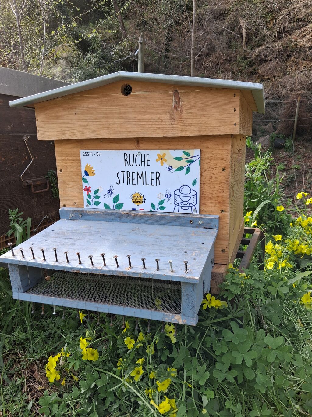 La ruche Stremler