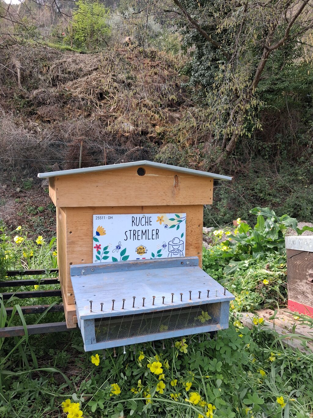 La ruche Stremler