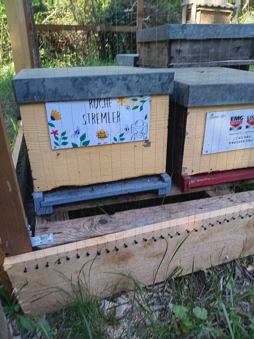 La ruche Stremler