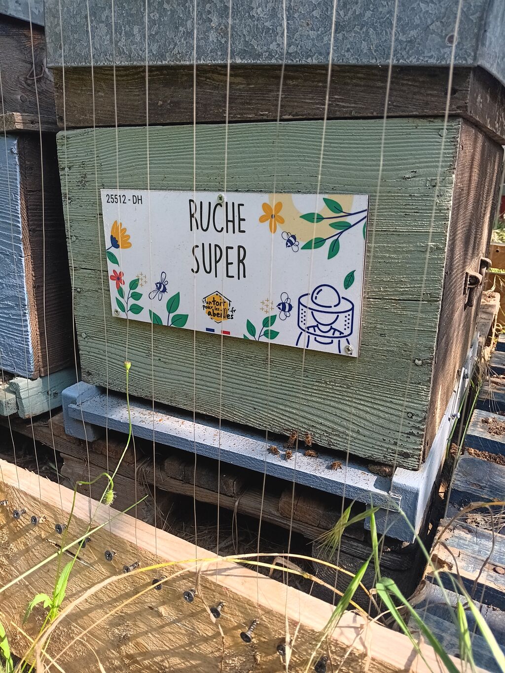 La ruche Super