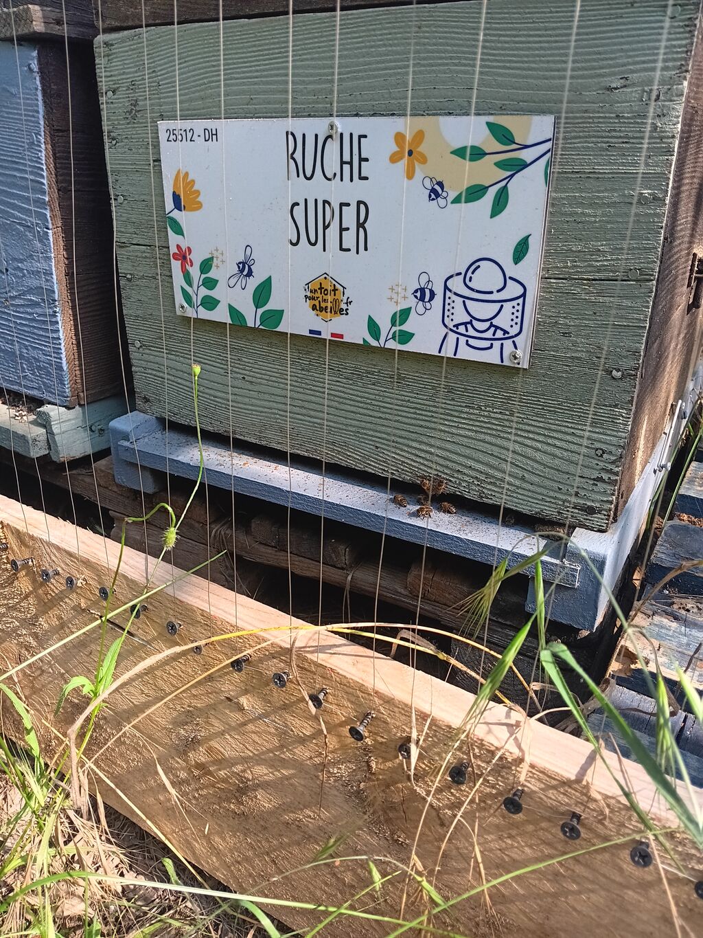 La ruche Super