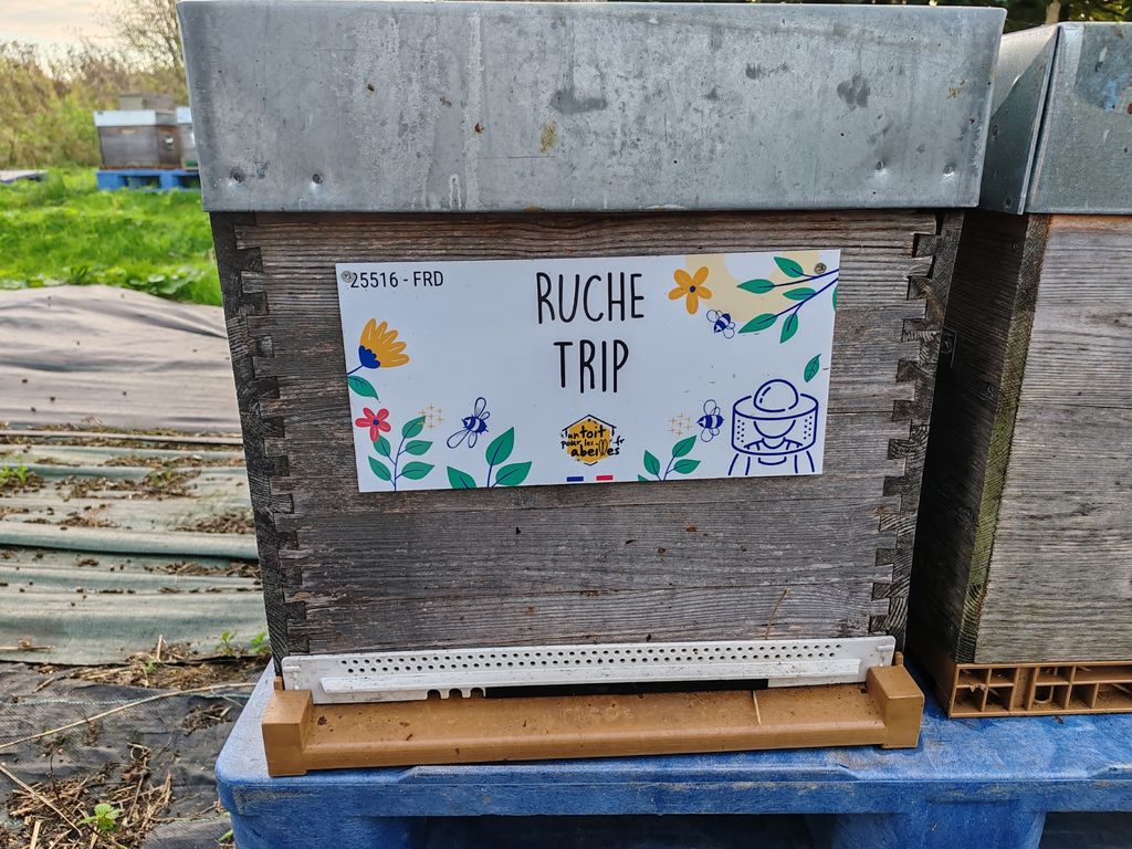 La ruche Trip