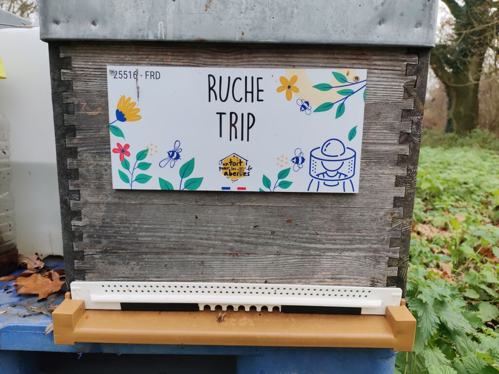 La ruche Trip