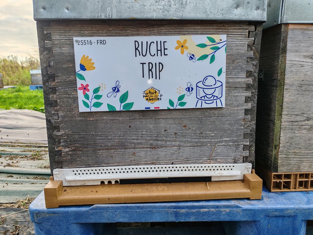 La ruche Trip